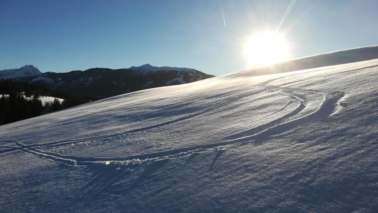 Familie Fritzenwallner Altenmarkt im Pongau Exteriér fotografie